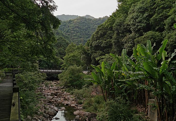 宁海森林温泉第 40 张图片