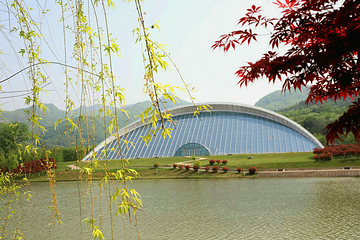 秦岭国家植物园第 20 张图片