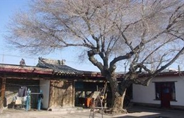 巴里坤县古民宅第 7 张图片