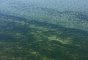 赣州阳明湖景区第 38 张图片