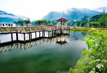 九峰山养心谷旅游度假区第 49 张图片