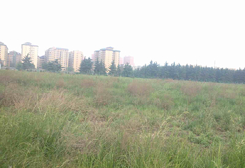 西安市秦阿房宫遗址展览馆第 30 张图片
