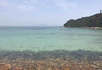 桔钓沙第 36 张图片