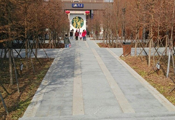 江苏睢宁白塘河湿地公园第 15 张图片