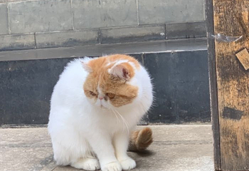 小普陀第 31 张图片