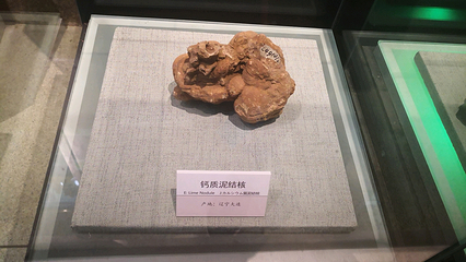 大连自然博物馆第 25 张图片