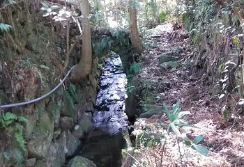 泽雅景区第 32 张图片