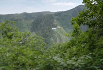 兴隆山自然保护区第 32 张图片