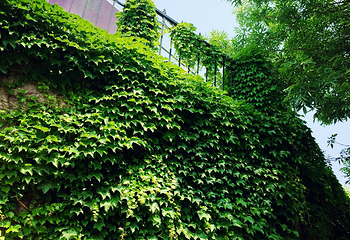 青岛大学(浮山校区)第 9 张图片