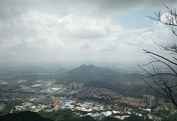 莲花山郊野公园第 8 张图片
