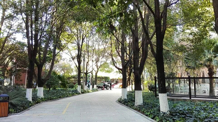 明熙森林温泉第 17 张图片