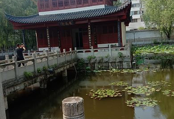 鄱阳湖候鸟保护区第 14 张图片