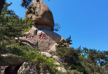 青岛市博物馆第 37 张图片
