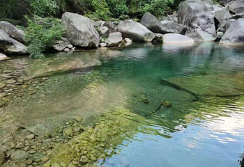 新安江山水画廊第 80 张图片