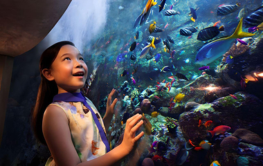 三亚亚特兰蒂斯失落的空间水族馆第 34 张图片