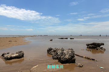 簕山古渔村第 22 张图片