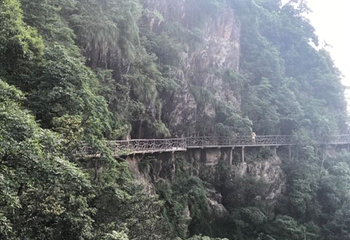 三百山景区第 38 张图片