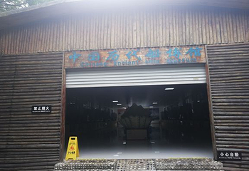 北海大江埠第 37 张图片