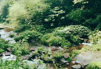 陆水湖风景区第 43 张图片