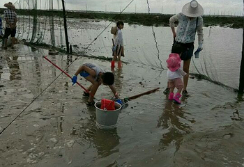 硇洲岛第 30 张图片