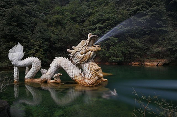 龙坞仙境第 78 张图片