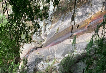 内乡宝天曼生态文化旅游区第 20 张图片