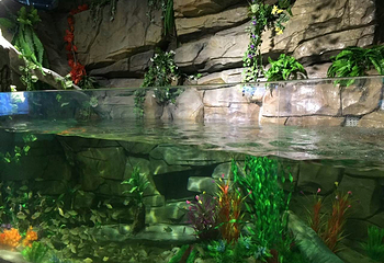 溱湖极地海洋世界第 12 张图片