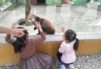 五龙山野生动物王国第 10 张图片