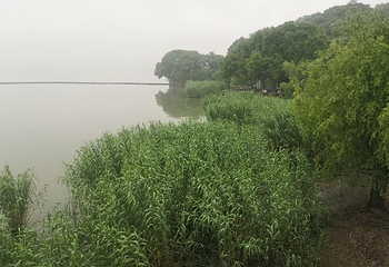 太湖仙岛第 18 张图片