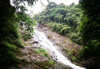马峦山郊野公园第 16 张图片