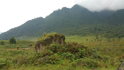 黑竹沟风景名胜区第 55 张图片