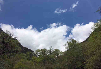 荷花池公园第 2 张图片