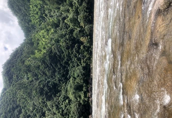 白水洋风景区第 59 张图片