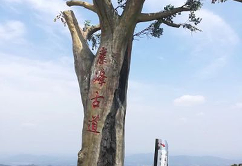 长沙黑麋峰国家森林公园第 39 张图片