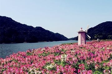 石门国家森林公园第 51 张图片