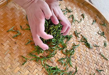 积庆里红茶谷第 14 张图片