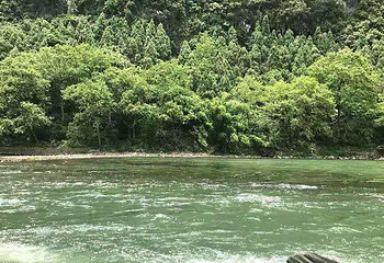 富里桥第 37 张图片
