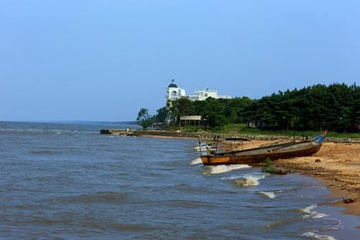 兴凯湖湿地公园第 29 张图片