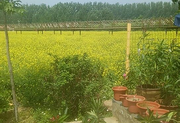 花溪地温泉生态乐园第 25 张图片