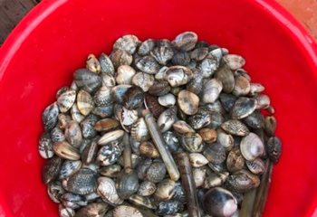 刘家湾赶海园第 47 张图片