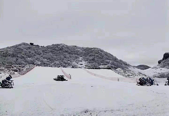 金佛山北坡景区第 52 张图片