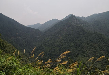 东天目山景区第 35 张图片