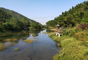 梅岭国家级风景名胜区第 37 张图片