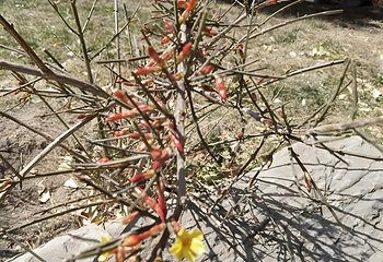 北海公园第 85 张图片