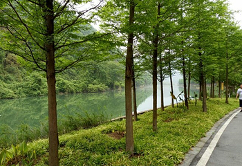 靖安恒茂御泉谷国际度假山庄第 11 张图片