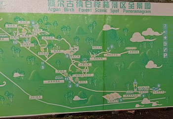 白桦林景区第 37 张图片