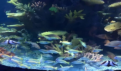 多彩贵州城极地海洋世界第 2 张图片