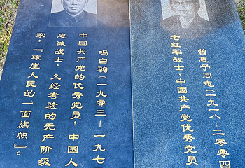 海口人民公园第 21 张图片