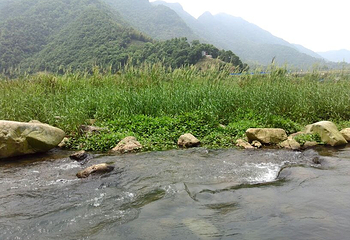 九鲤溪峡谷竹筏漂流第 18 张图片