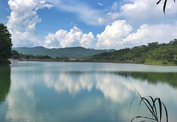 梅子湖公园第 21 张图片